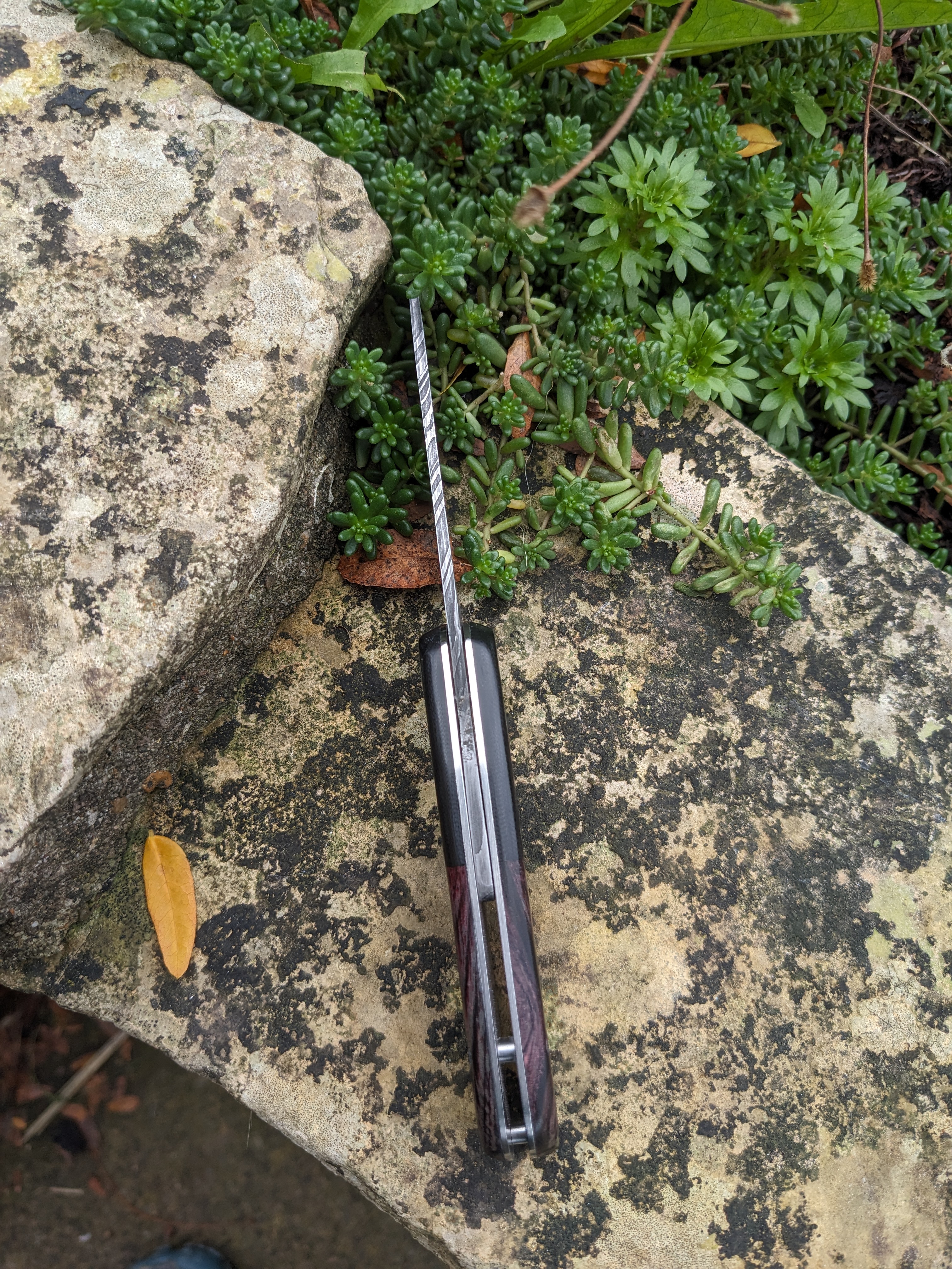 Damascus gentleman's folder spine