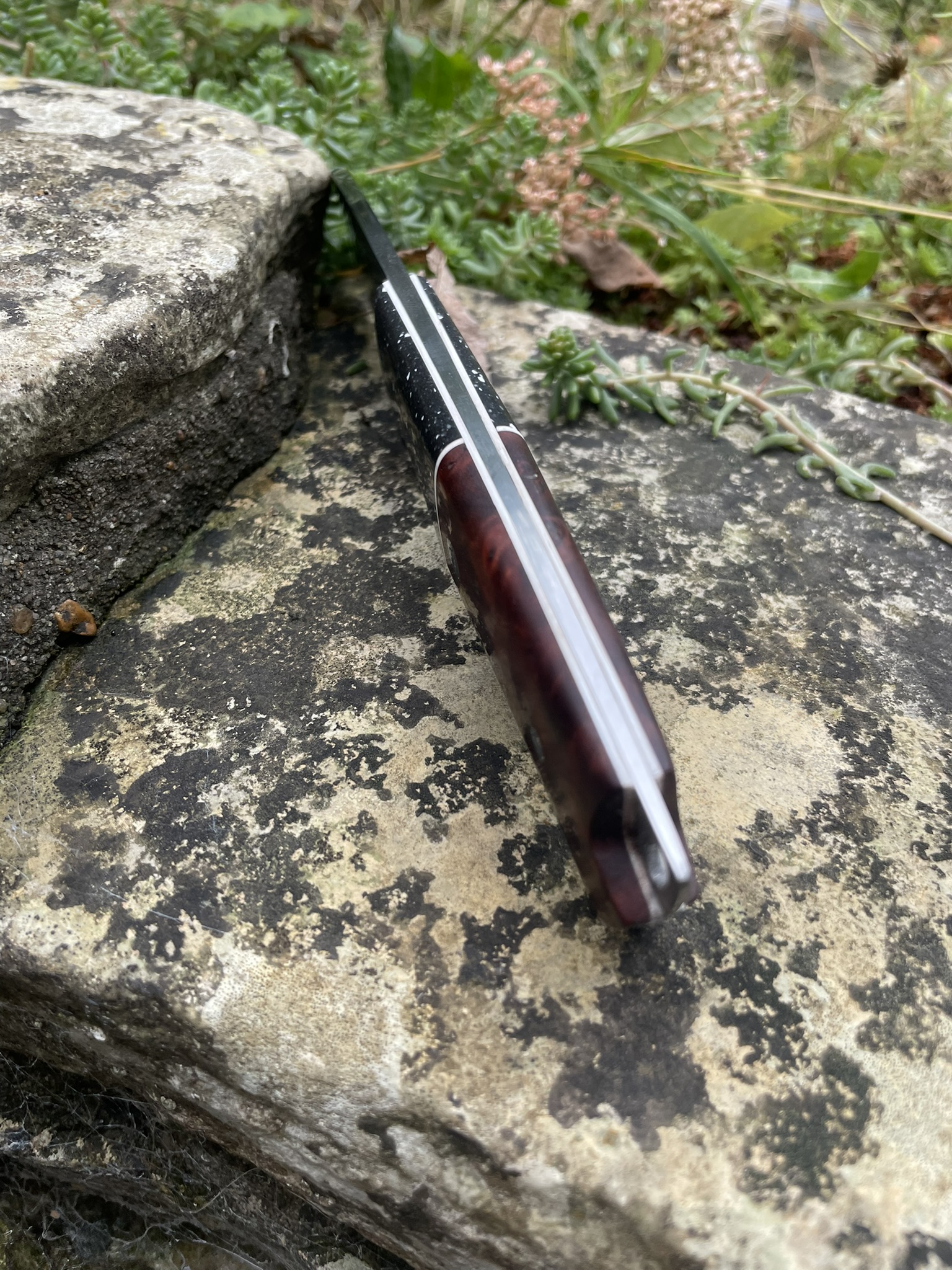 Hunter knife spine view