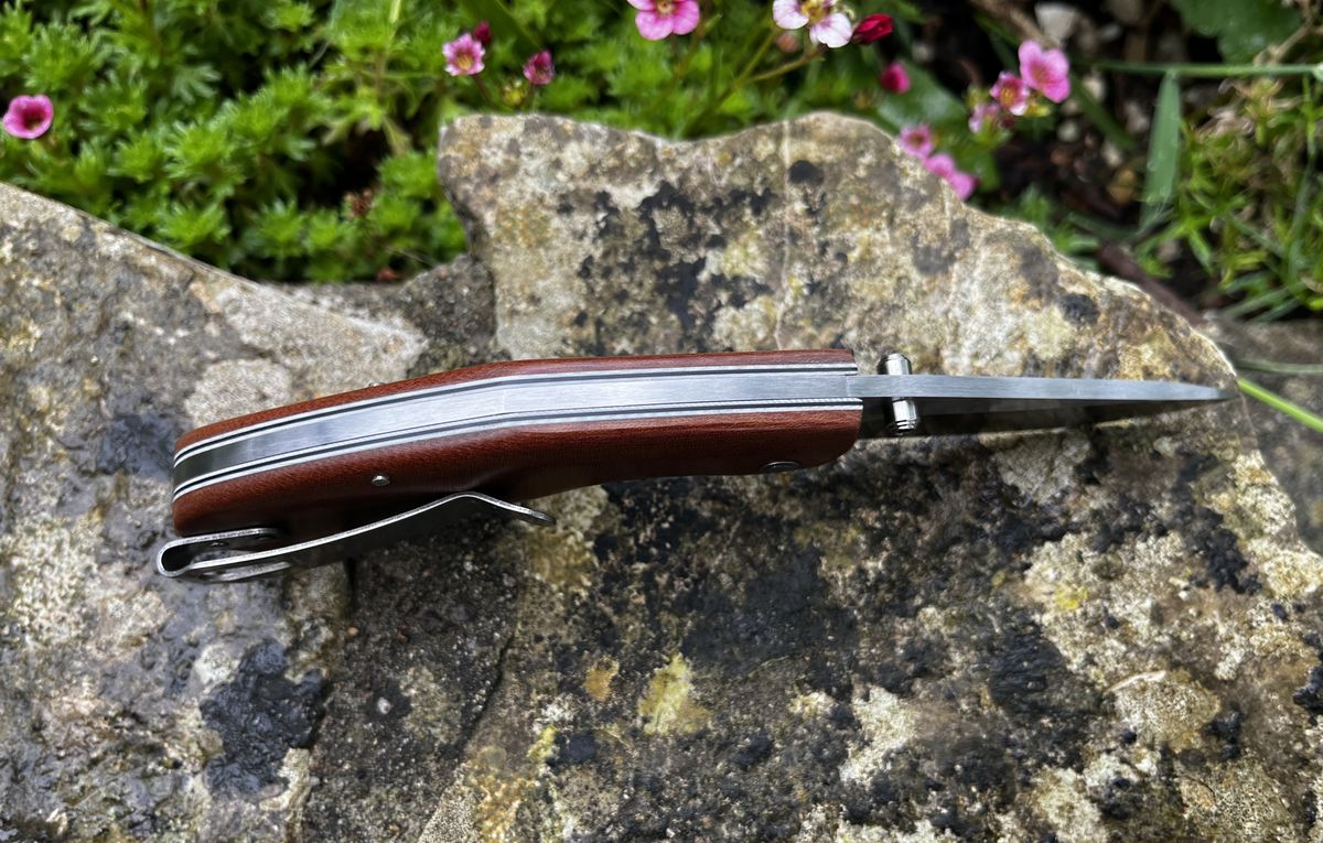 Larkspur prototype spine view